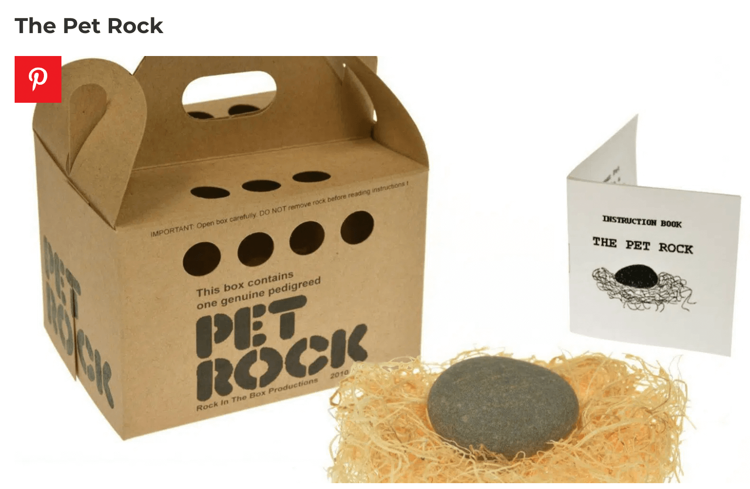 pet rock stupid business idea