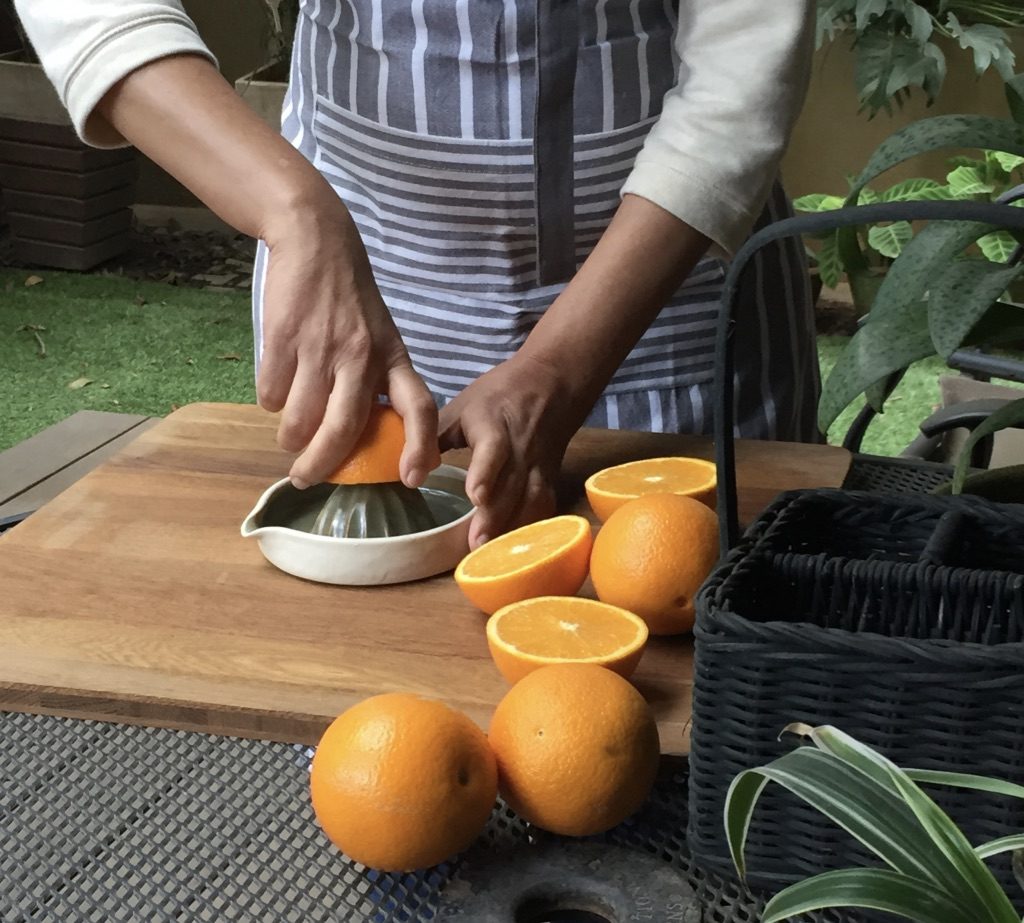 Citrus-fruit-juicer- Living Clay