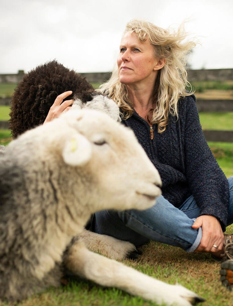 Airbnb meditations with sheep