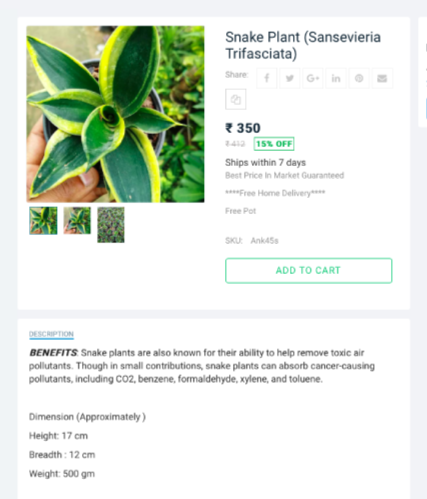 product description-plant