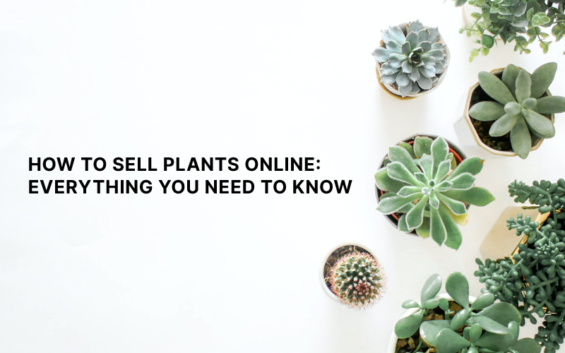 how to sell plants online