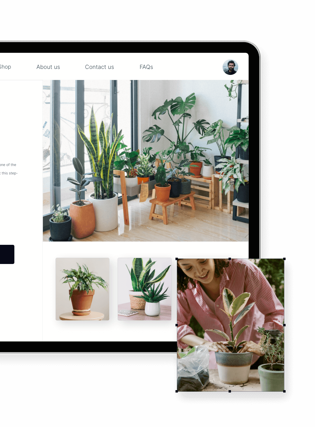 sell plants online